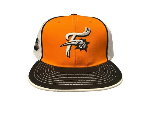 Sports Reading Fightin Phils