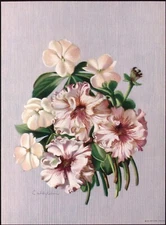 E. WITZLEBEN Bouquet Blue Striped Background Chromolitho Art Print 8 x 10"