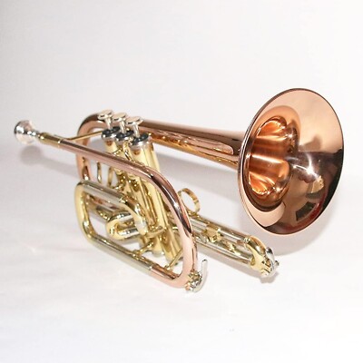 Soundman TRN-333R Kornett in B (Goldmessing, lackiert)