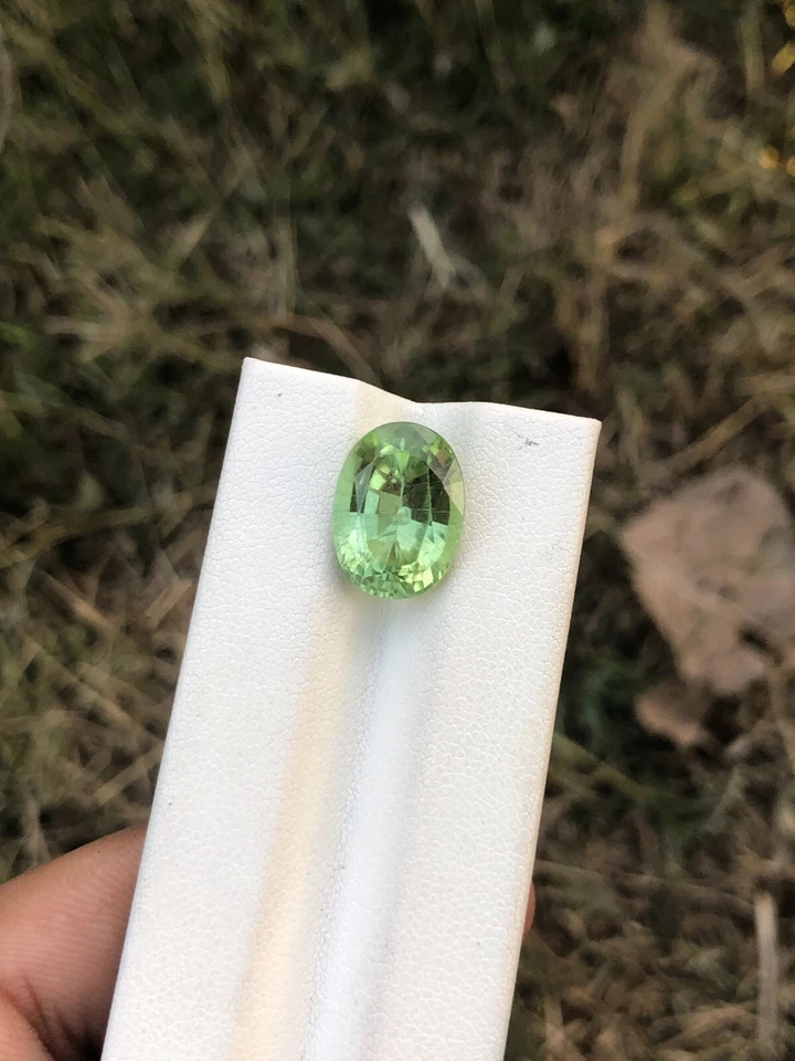 Natural Peridot Apple Green Color Oval Cut 7.85 Carats Loose Gemstone - Image 2 of 4