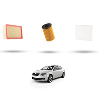 Hoffcar Set Service - 3 Filter FüR Skoda Octavia III 2.0 Rs 162Kw Von 2013