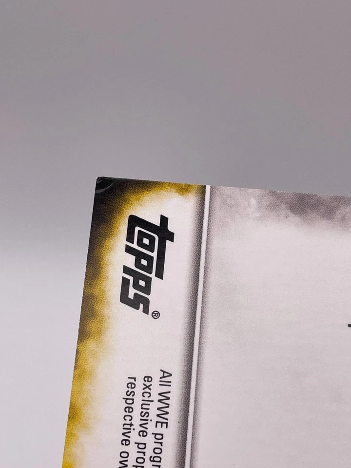 Dana Brooke 2016 Topps NXT WWE 5x7 Jumbo RC Rookie SP #d 17/49 CORNER DING - Image 4 of 4