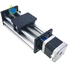 Stepper Motor Linear Slide Rail Module with Dual Shaft Screw Electric Drive