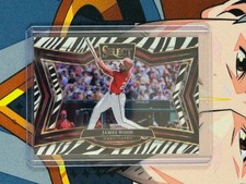 2025 Panini Select Baseball JAMES WOOD Diamond Level Zebra Prizm #289