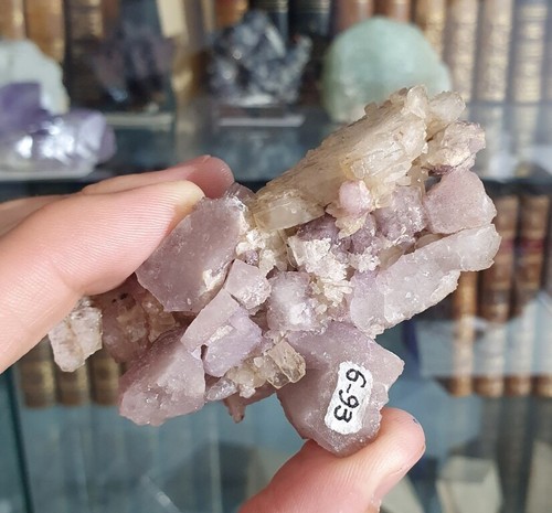 Baryte & Fluorine, Mine de Fontsante, Tanneron, Var (83), Région PACA, France - Picture 4 of 12