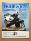 1989 PRIDE & JOY Pandas Franklin Mint Original Print Ad w/Order Form, 8.25"x11" — photo 1