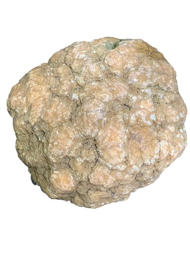 Bogo! Medium Break Your Own Geode - ungeöffnet - SouthernIndiana Calcite Crystals - Bild 1 von 8