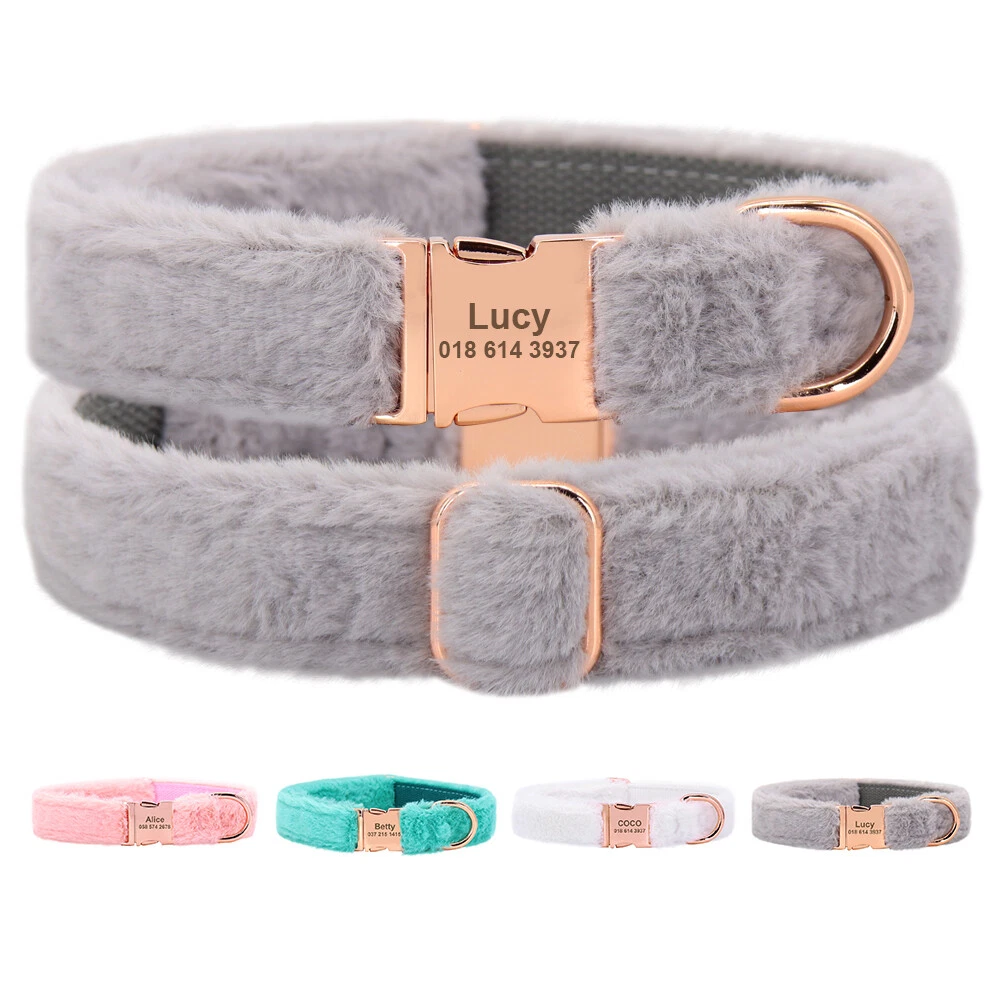 Dog collar with clearance name on it