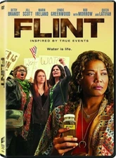Flint (DVD) LN Disc + Cover Art - NO CASE