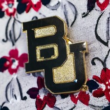 BAYLOR BEARS LOGO PIN