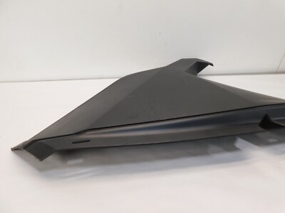 ヒラタD❗️ s-l400.jpg