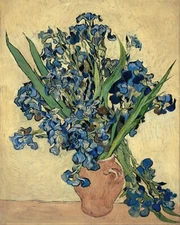 Vincent Van Gogh Irises Flower Painting Giclee Print on Fine Art Paper