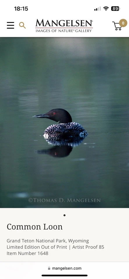 Thomas Mangelsen Common Loon Limited Edition Framed print 11x14 - Image 2 of 4