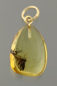 Authentic MOTH Lepidoptera BALTIC AMBER Gold Plated Silver Polished Pendant 0.9g260401-5