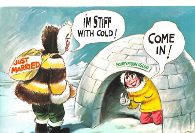BAMFORTH SCHWARZES DREIECK COMIC POSTKARTE NR 2084 IGLU UNGEBRAUCHT G PLUS V GUT