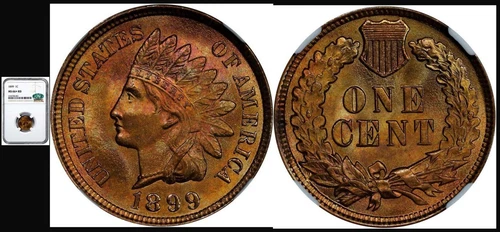 1899 1C- NGC/CAC MS66+RD-GREAT PURE RED PQ INDIAN HEAD SMALL CENT