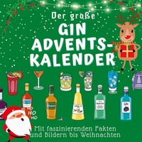 Bibi HüBsch | Der GroßE Gin-Adventskalender | Taschenbuch | Deutsch (2022)