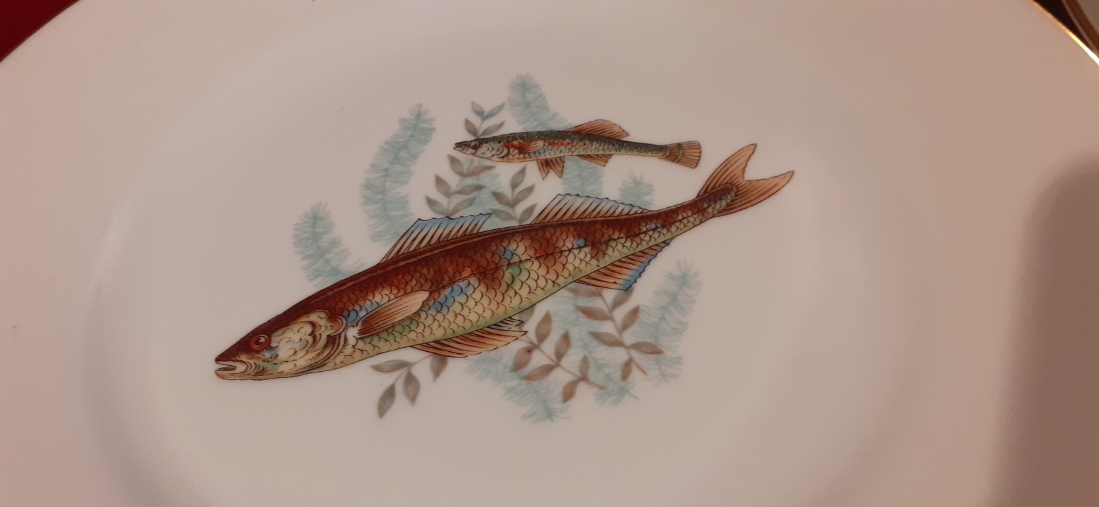 RICHARD GINORI Fish Served. 12 Person Set