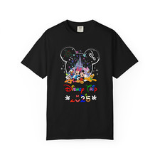 Personalised Disney Trip 2025 TShirt, Family matching disney tshirt, Disney tee