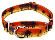 Country Brook Petz® Caribbean Sunset Martingale Dog Collar