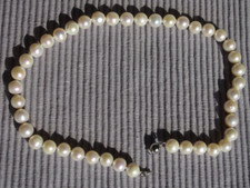 Halskette und Ohrring Box Zertifikat abgestufte japanische Akoya-Zuchtperlen