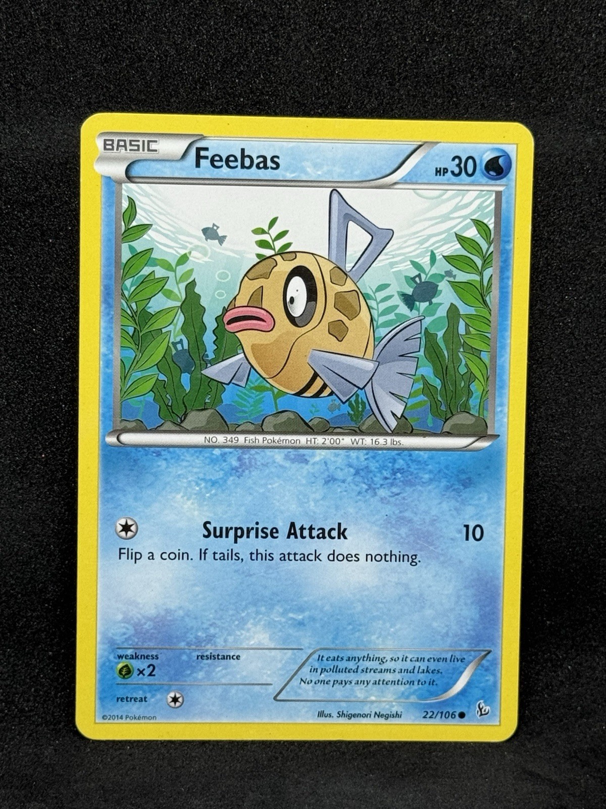 Feebas 22/106 XY Flashfire 2014 Pokemon Card