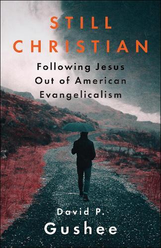 Thumbnail - David P. Gushee Still Christian (taschenbuch)