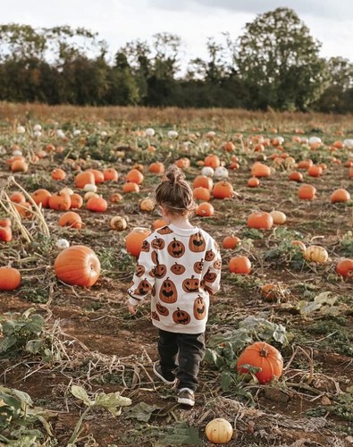 Toddler Baby Halloween Outfit Boy Girl Pumpkin 2-3T Oversized Pumpkin - Picture 4 of 8