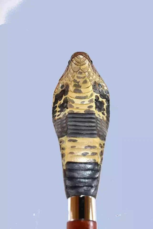 Bastón de madera cobra serpiente, bastón tallado a mano arte madera serpiente Foto 3 de 4
