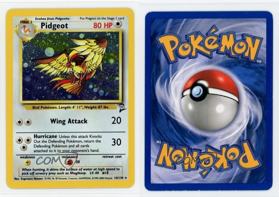 Pidgeot Holo Pokemon Base Set 2 #14 2000 | eBay UK