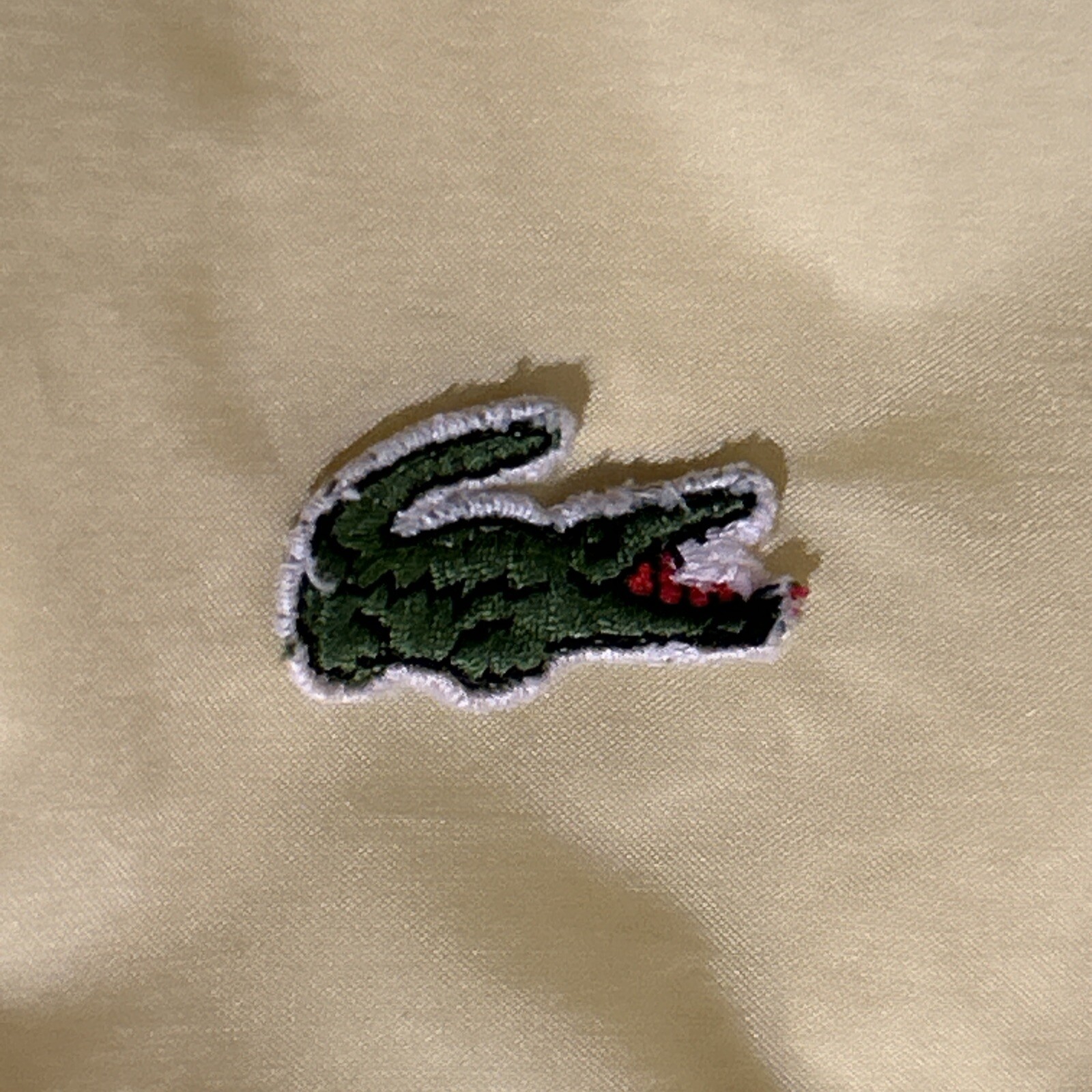 Picture 7 of 20