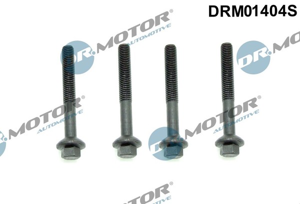 Dr.Motor Automotive DRM01404S Schraube, EinspritzdüSenhalter For Dacia Renault-image