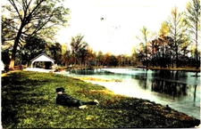 Postcard Indianapolis Indiana Hammonds Grove Posted 1909