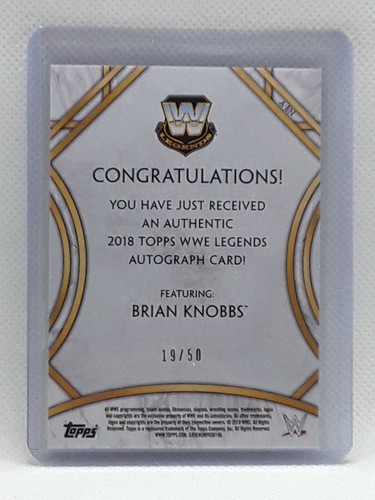 Brian Knobbs 2018 Topps WWE Legends - SILVER (19/50) - ON CARD AUTO - Nasty Boys - Picture 2 of 2