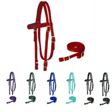 Majestic Ally Nylon Padded Browband Headstall with Reins for Horses