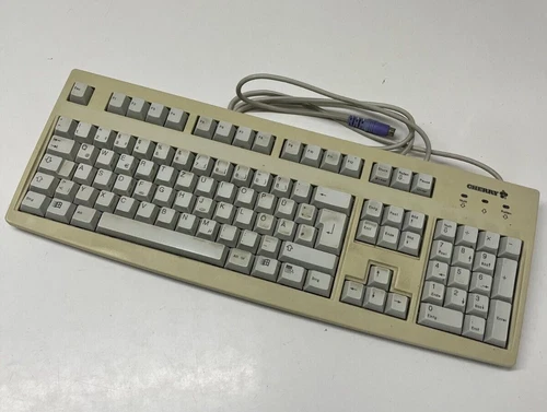 Cherry Electrical G83-6105 - G836105LRPDE-0 - gebraucht - RS6000M - PS/2
