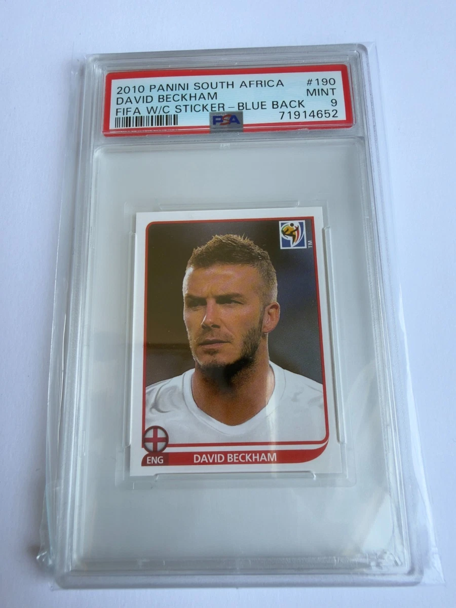 FIFA World Cup Soccer 2010 Season Sports Trading Cards