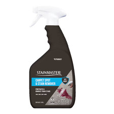 STAINMASTER Spot remover Liquid 32-oz 0.32 per fl oz