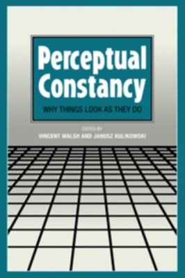 PERCEPTUAL CONSTANCY by WALSH, VINCENT Hardback Self Help Business