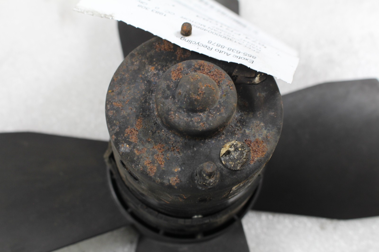 Ferrari 308, Radiator Fan Blade & Motor, Rusted, Used, P/N 119447, 122957