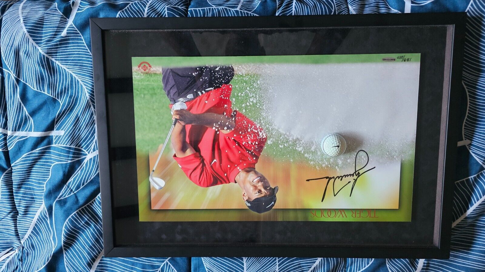 Picture 1 of 4