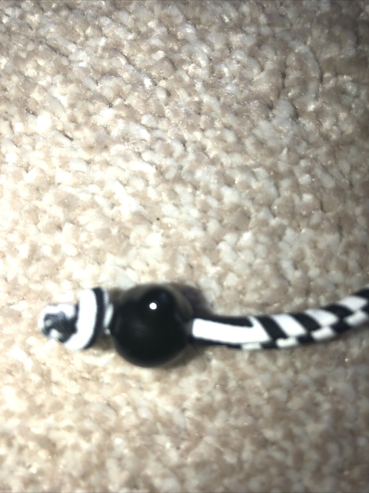 Picture 16 of 17