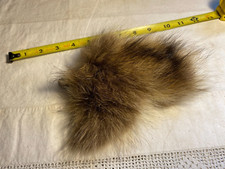 Tanned Raccoon Tail Fur Skin Pelt Taxidermy Hide Part