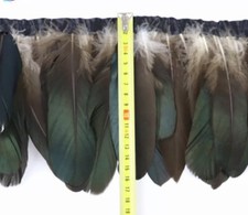 1.9 Metre 2 Yards Natural 12-16cm Real Pheasant Feather Trim DIY Craft Juju Hat