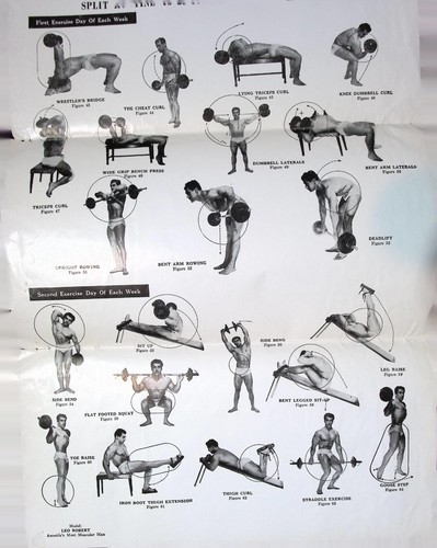 Vintage 1950s Weider System Barbell Exercise Chart No. 4 Split Routine - Picture 2 of 3