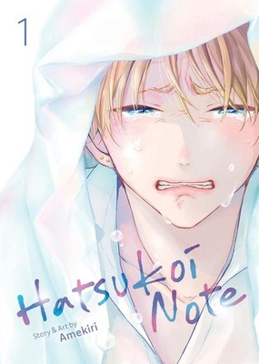 Hatsukoi Note Vol. 1 | Amekiri | englisch