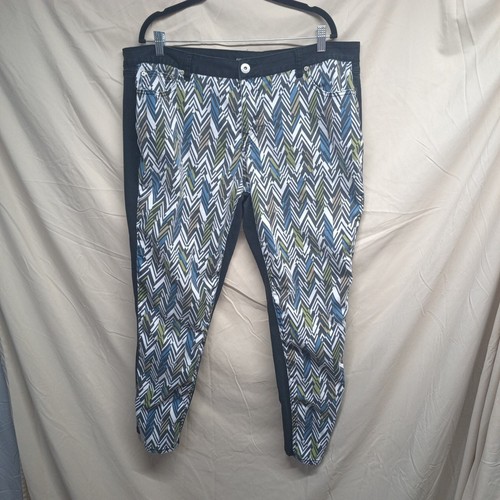 Ashley Stewart Womens Size 20 Black Multicolor Pattern Stretch Denim Jeans - 第 1/17 張圖片