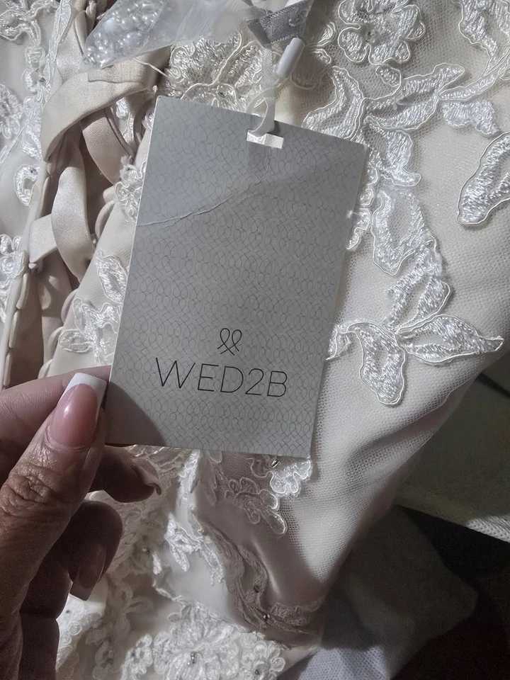 Bellami Size 16 Blush Colour Wedding Dress New with Tags Never Worn - Image 4 of 4