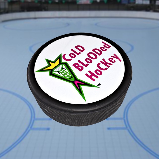 Official 19971998 Season Jacksonville Lizard Kings NHL Hockey Puck