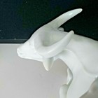 Foto 9 di 12